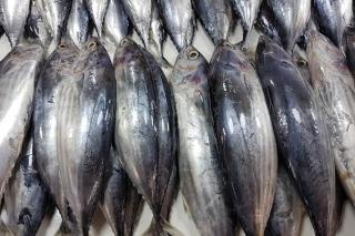 9 Jenis Ikan Tinggi Protein untuk Bantu Pembentukan Otot, Tuna hingga Nila